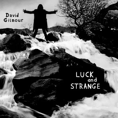 David Gilmour - Luck and Strange - Translucent Sea Blue Vinyl