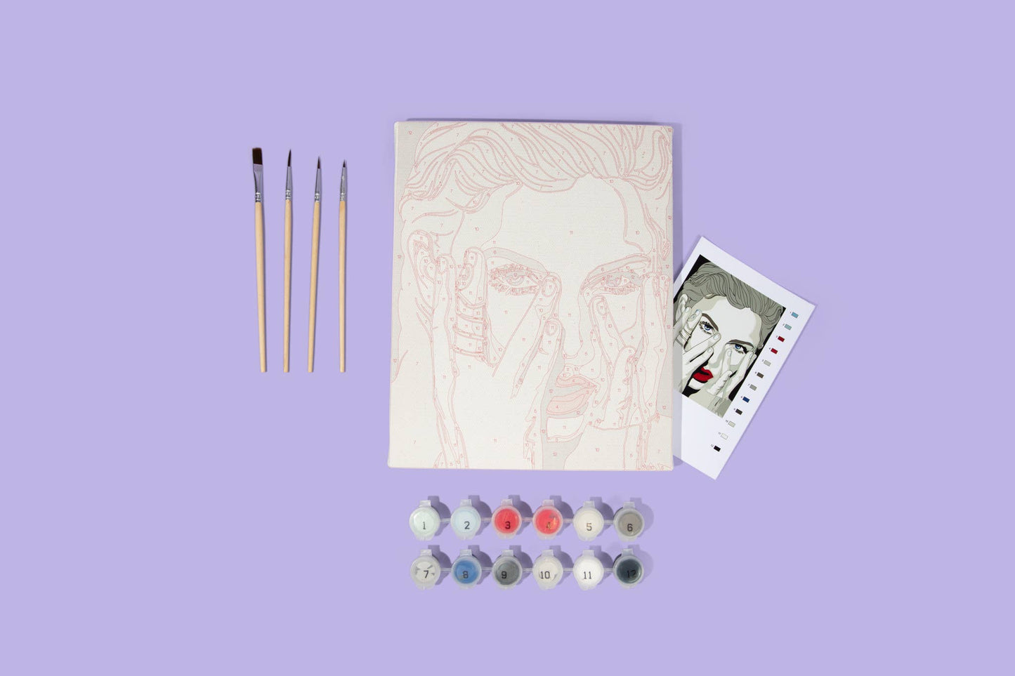 TS Rep Paint By Numbers Kit