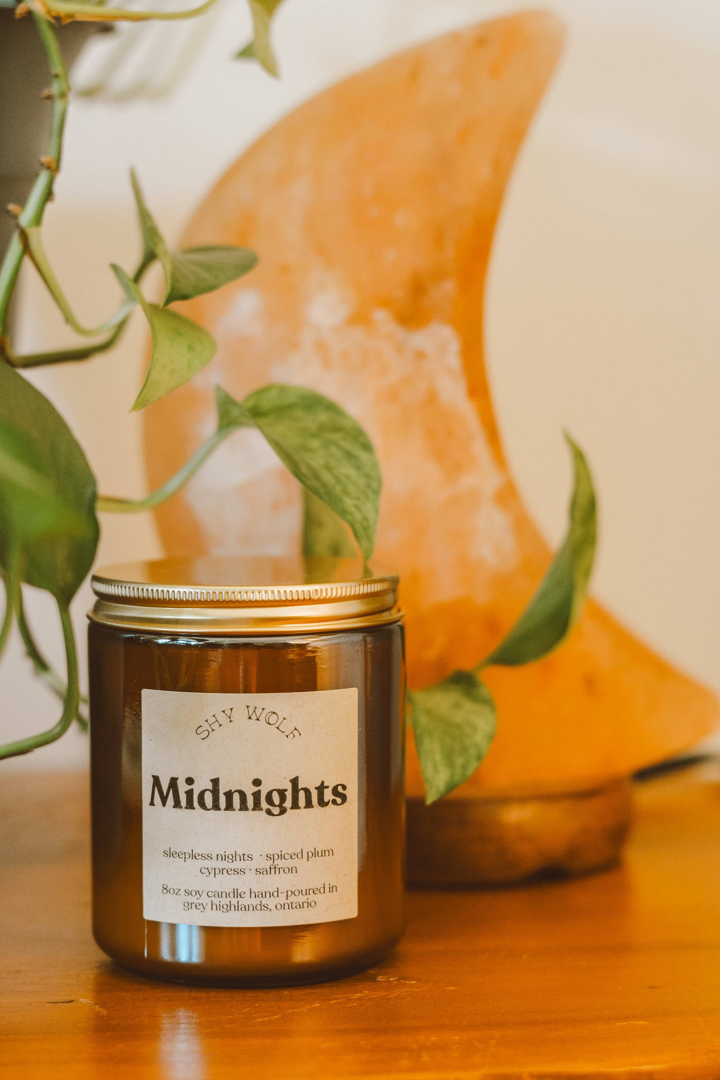 Midnights - Taylor Swift Inspired Soy Candle - Spiced Plum