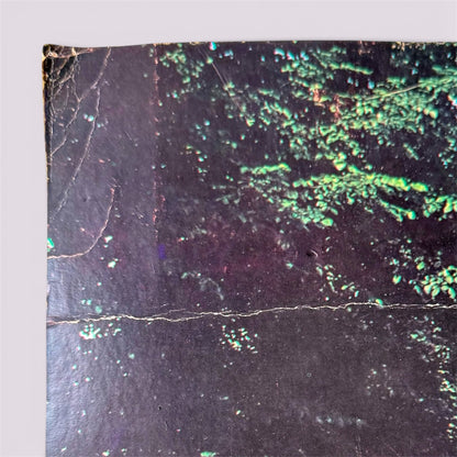 1969 Beatles Abbey Road die-cut promo standee top left corner condition detail surface crazing ink cracking sky area honest condition disclosure