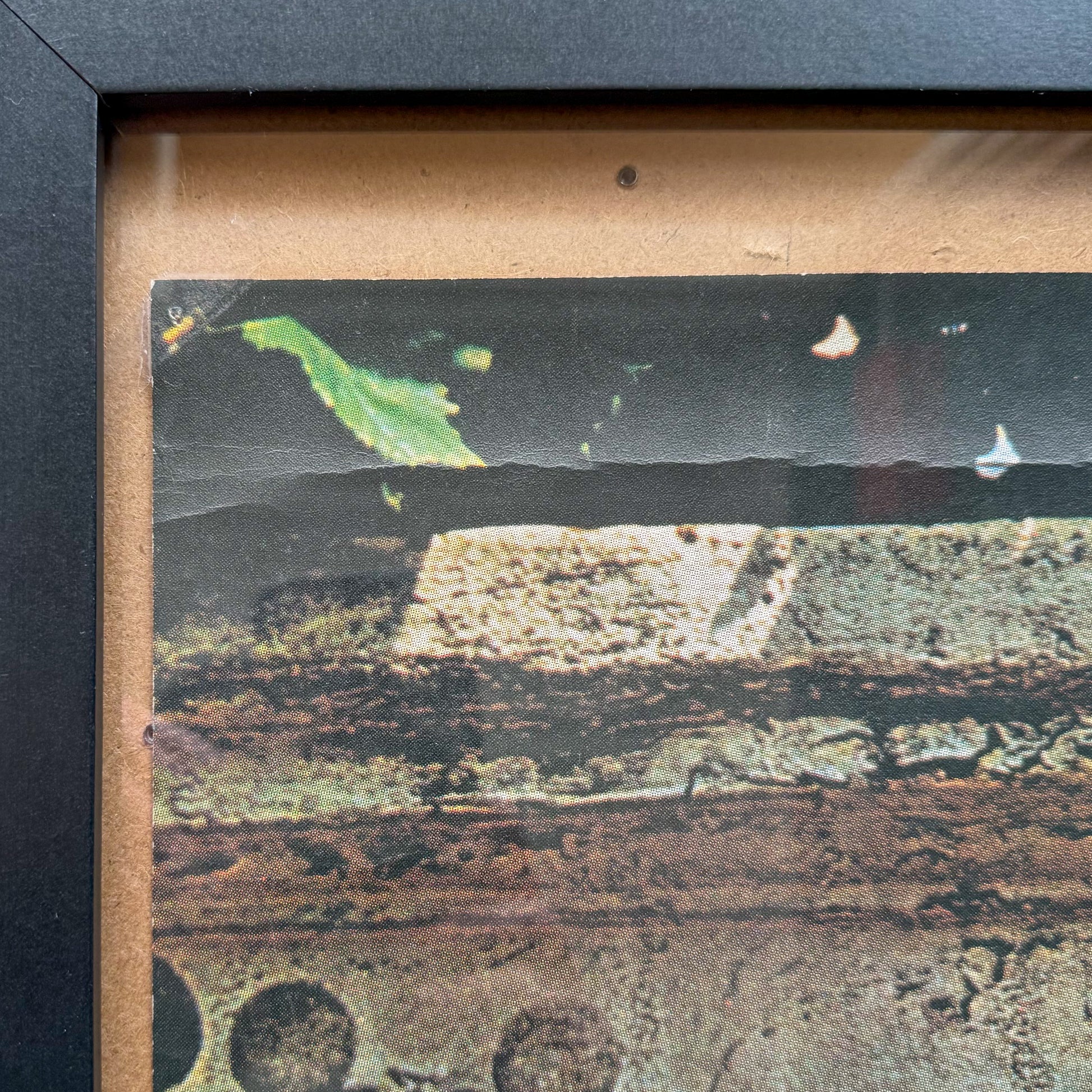 1969 Beatles Abbey Road Apple Records promo poster top left corner condition detail honest age wear displayed 55 year old promotional piece Jack Kunkle collection